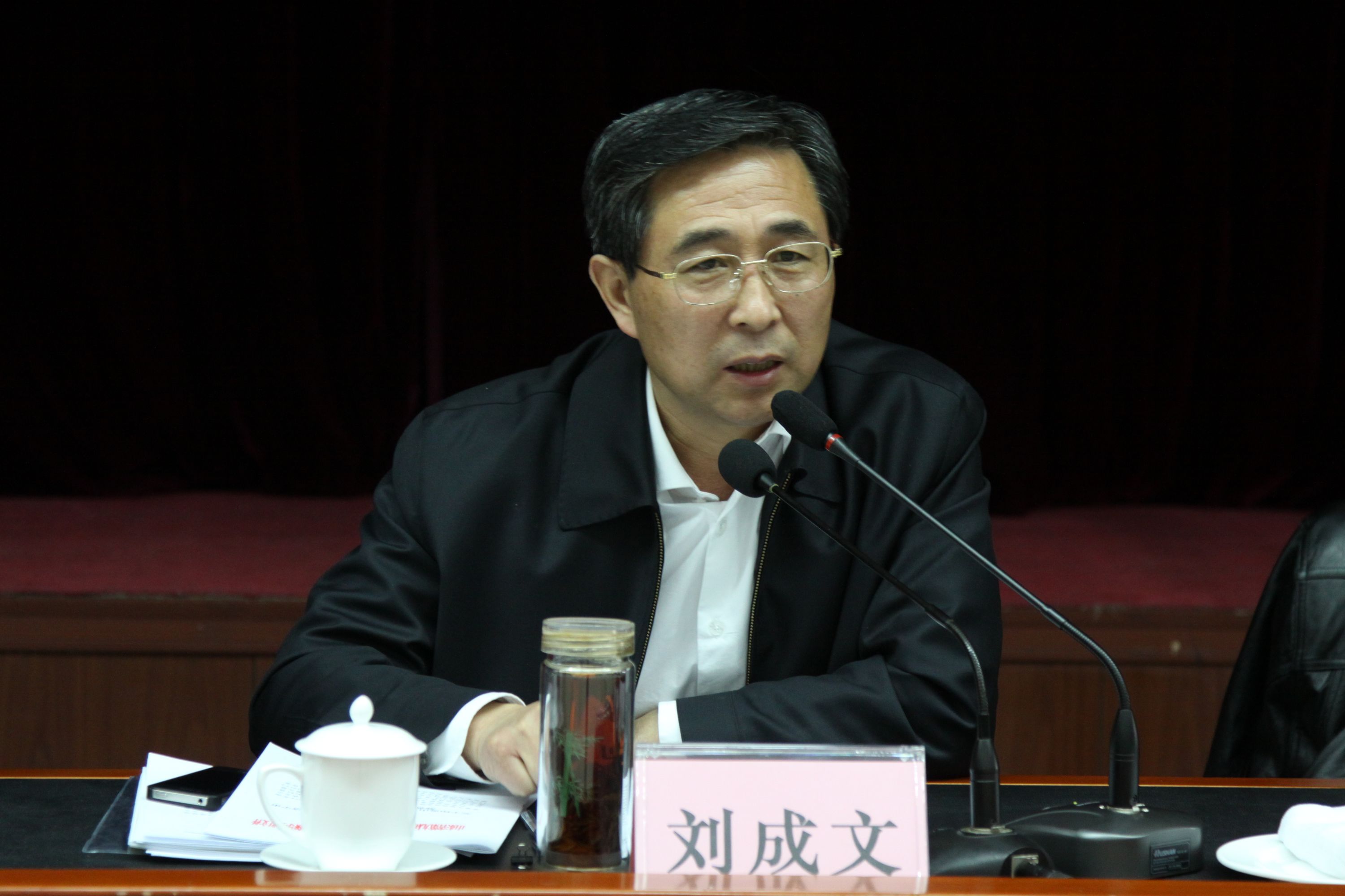 市委常委、秘书长刘成文出席会议并讲话